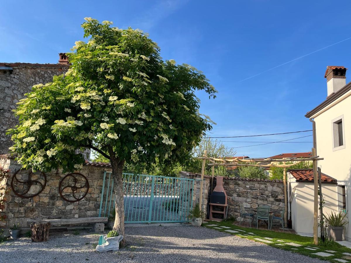 Apartma Ob Stari Murvi, Sežana Extérieur photo